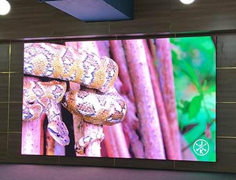indoor-led-video-wall-application
