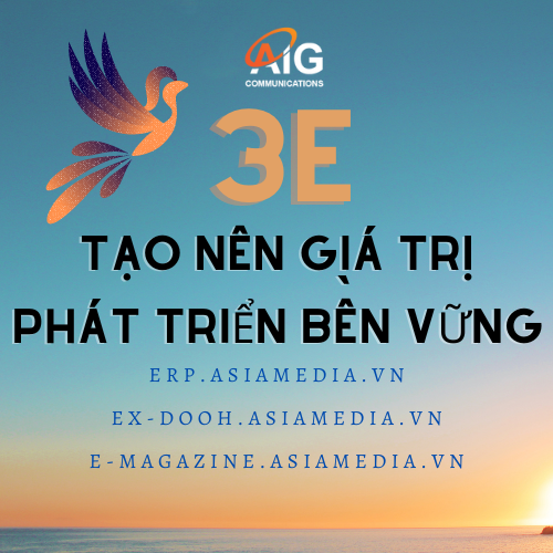 Hệ Thống Trang Web 3E Tạo Giá Trị Và Phát Triển Cho AIG Trong Lĩnh Vực Quảng Cáo tại Việt Nam