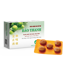 VIEN-NGAM-HO-BO-PHE-BAO-THANH